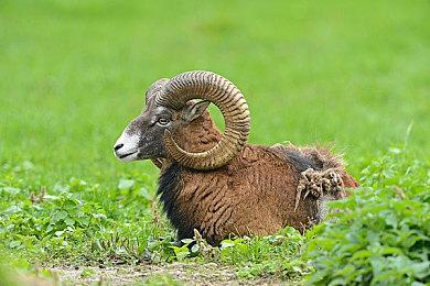 《塞尔达传说：王国之泪》绝对好玩 制作人自己玩了20遍